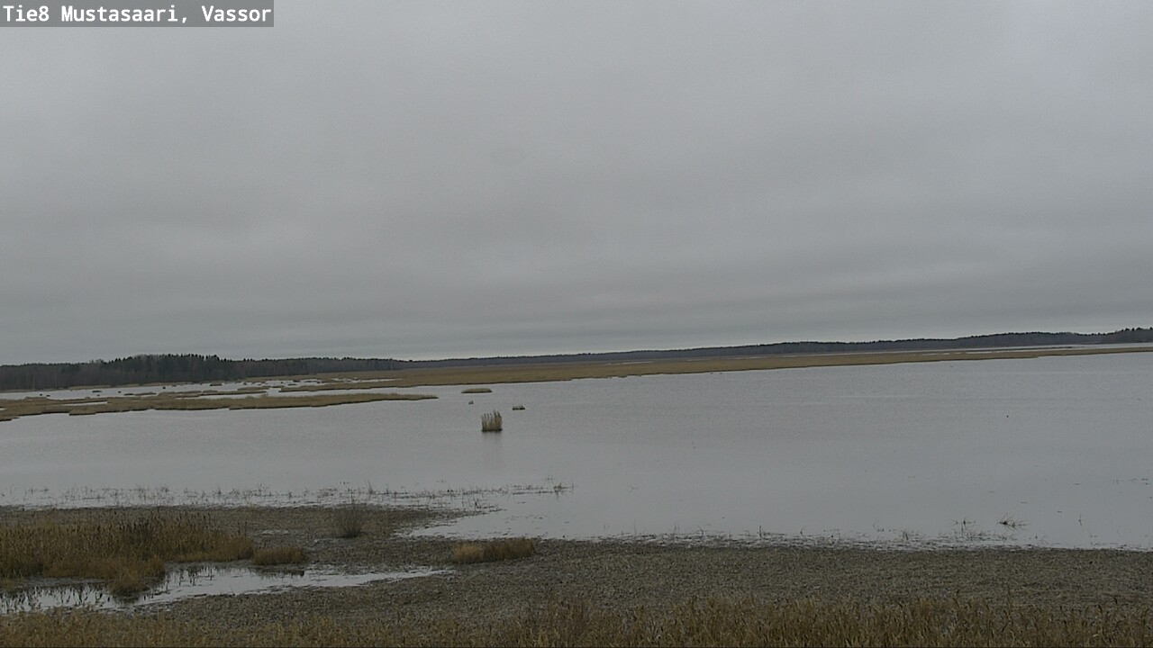 Kelikamerat Kuva Tie 8 Mustasaari, Vassor, Mustasaari, Pohjanmaa