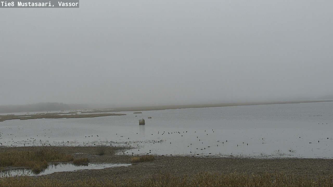 Kelikamerat Kuva Tie 8 Mustasaari, Vassor, Mustasaari, Pohjanmaa