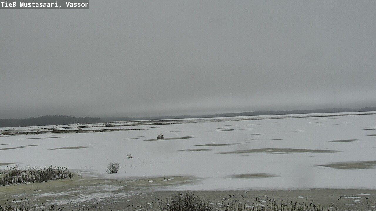 Weather Camera Image Road 8 Mustasaari, Vassor, Mustasaari, Pohjanmaa