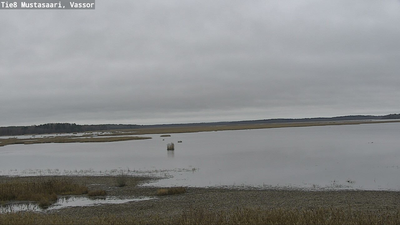 Kelikamerat Kuva Tie 8 Mustasaari, Vassor, Mustasaari, Pohjanmaa