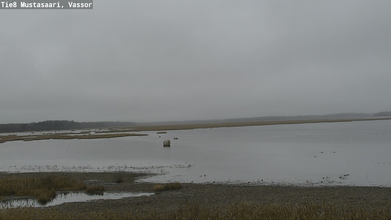 Kelikamerat Kuva Tie 8 Mustasaari, Vassor, Mustasaari, Pohjanmaa