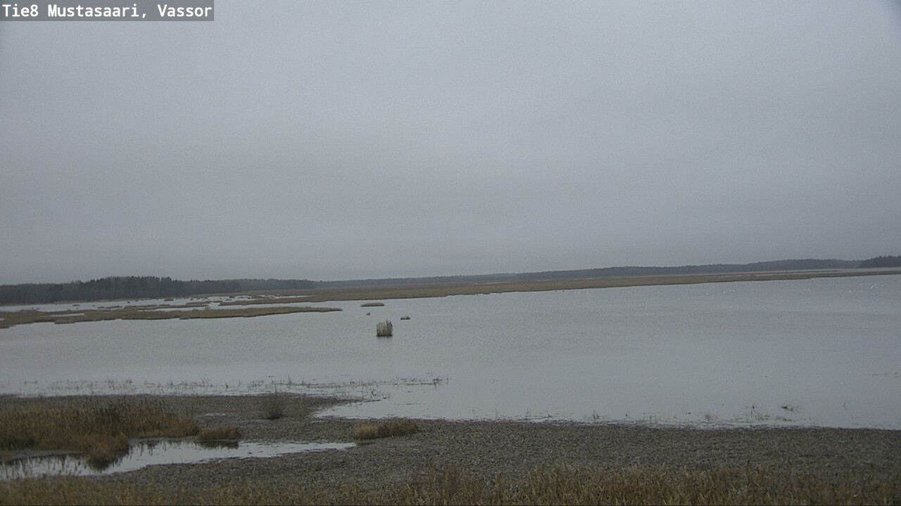 Kelikamerat Kuva Tie 8 Mustasaari, Vassor, Mustasaari, Pohjanmaa