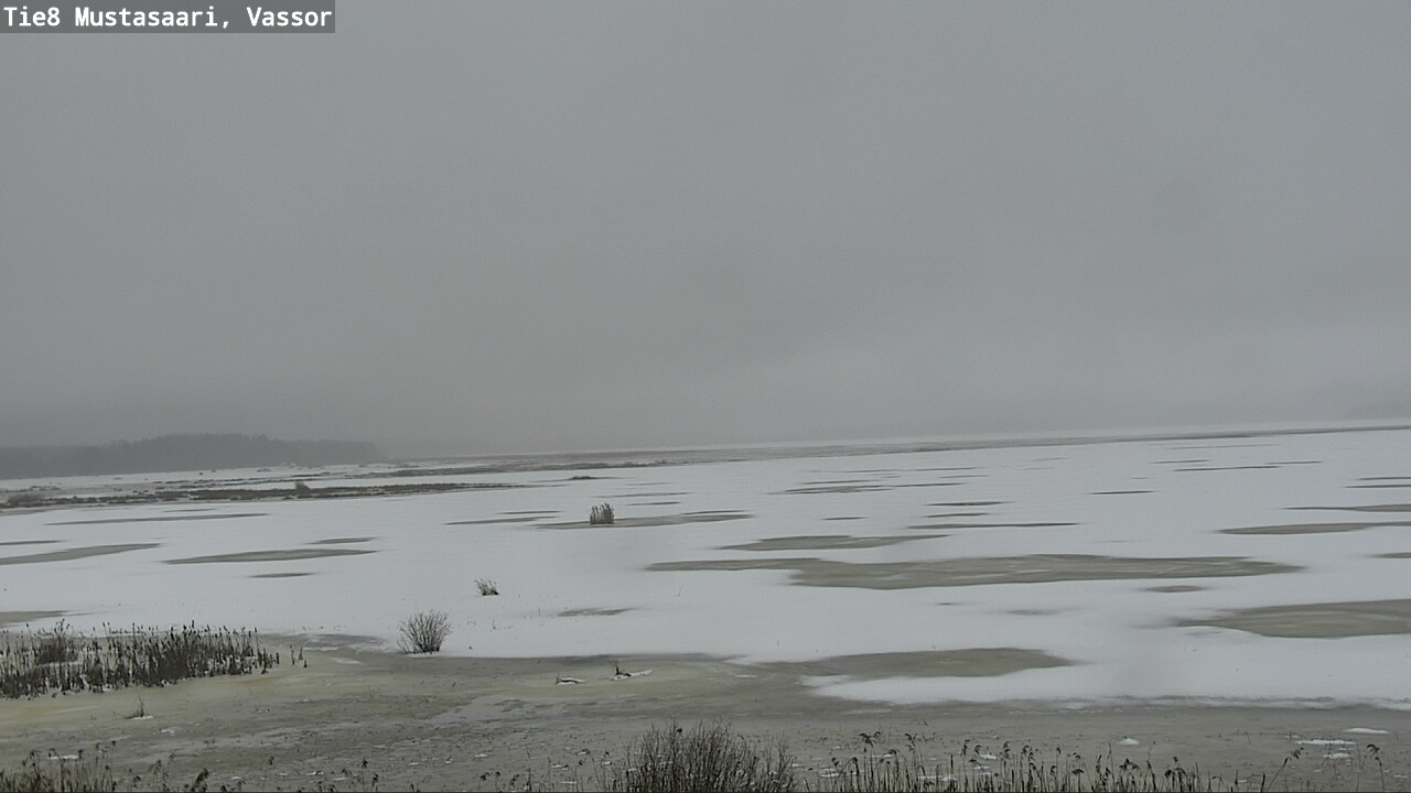 Weather Camera Image Road 8 Mustasaari, Vassor, Mustasaari, Pohjanmaa