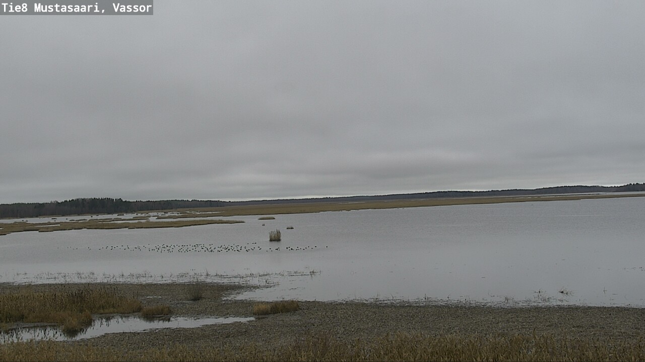 Kelikamerat Kuva Tie 8 Mustasaari, Vassor, Mustasaari, Pohjanmaa