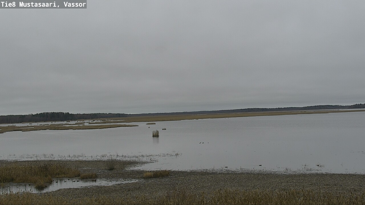 Kelikamerat Kuva Tie 8 Mustasaari, Vassor, Mustasaari, Pohjanmaa