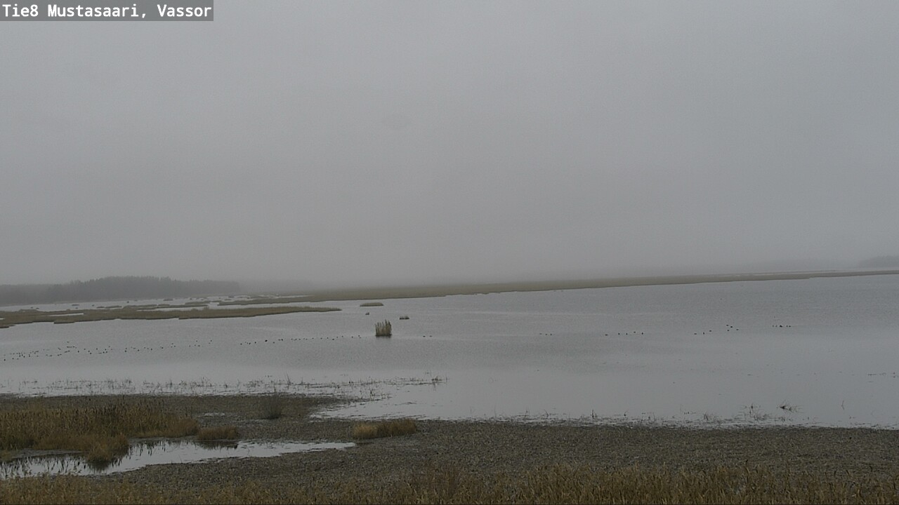 Kelikamerat Kuva Tie 8 Mustasaari, Vassor, Mustasaari, Pohjanmaa