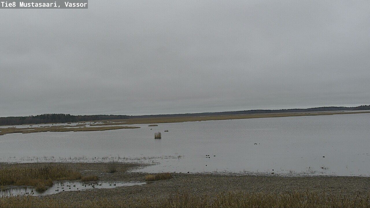 Kelikamerat Kuva Tie 8 Mustasaari, Vassor, Mustasaari, Pohjanmaa