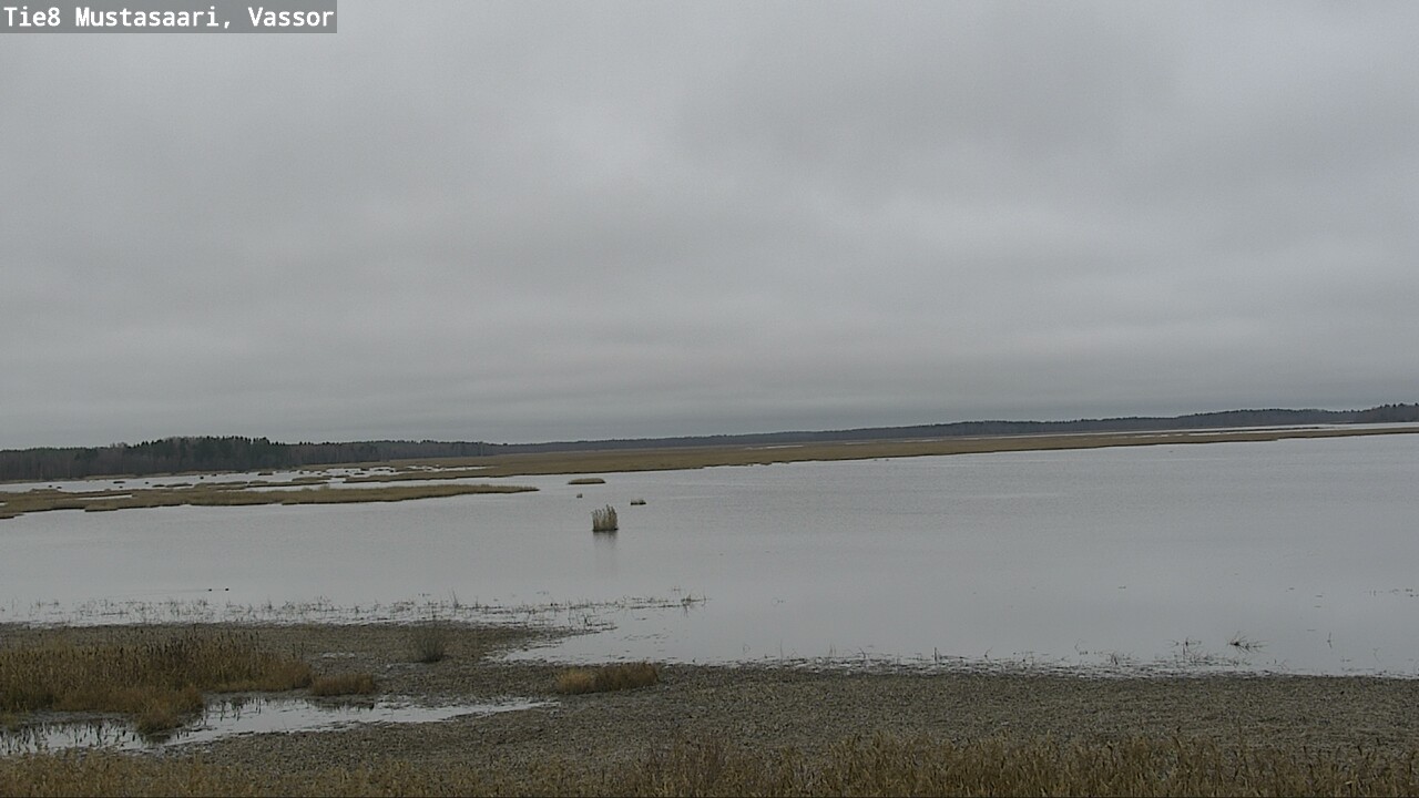 Kelikamerat Kuva Tie 8 Mustasaari, Vassor, Mustasaari, Pohjanmaa