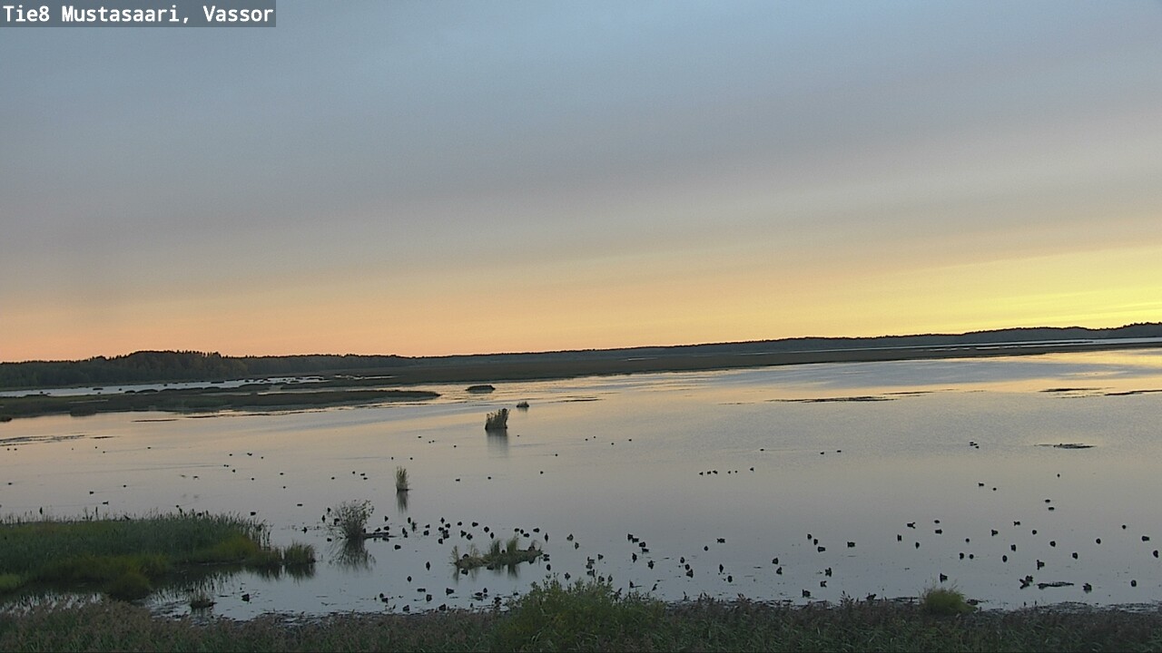 Weather Camera Image Road 8 Mustasaari, Vassor, Mustasaari, Pohjanmaa