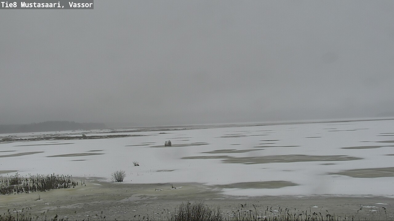 Weather Camera Image Road 8 Mustasaari, Vassor, Mustasaari, Pohjanmaa