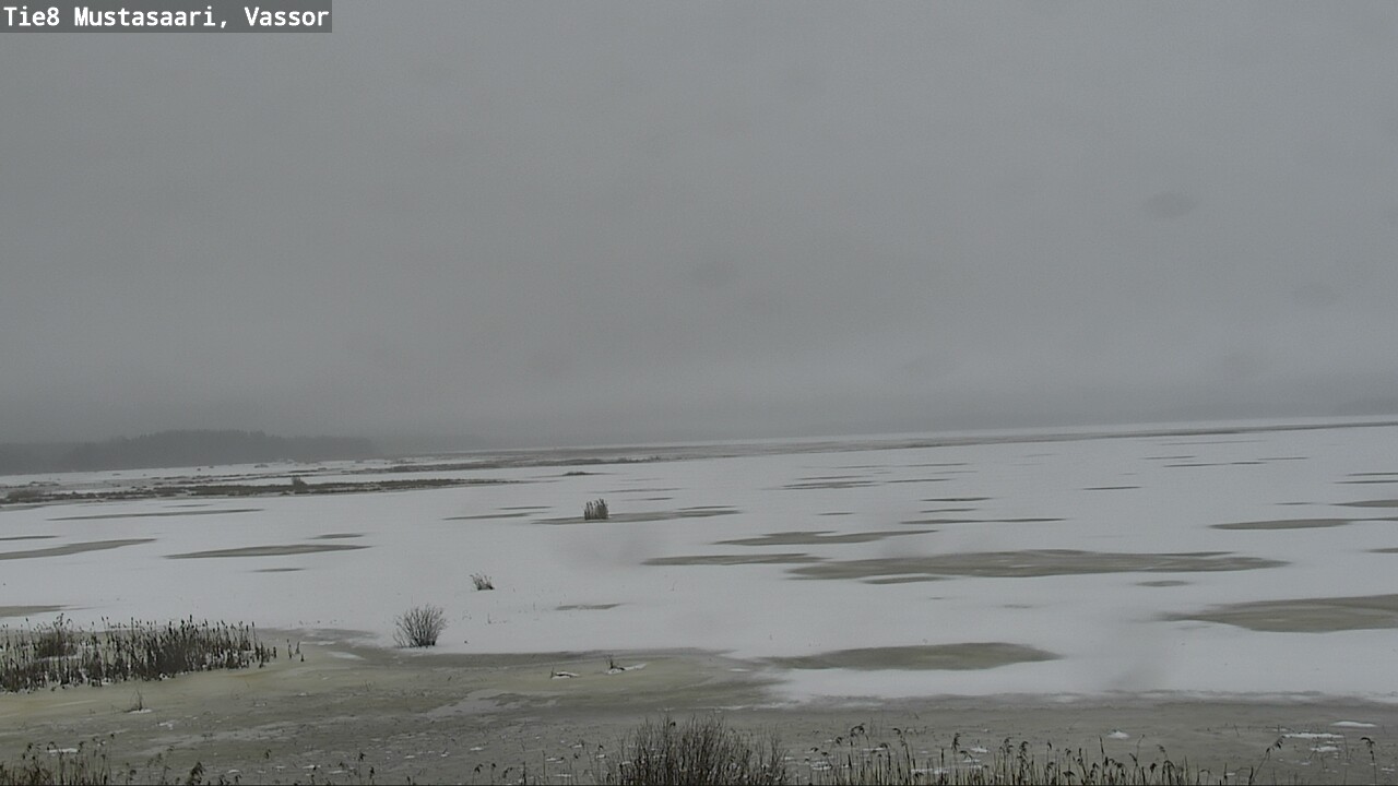 Weather Camera Image Road 8 Mustasaari, Vassor, Mustasaari, Pohjanmaa