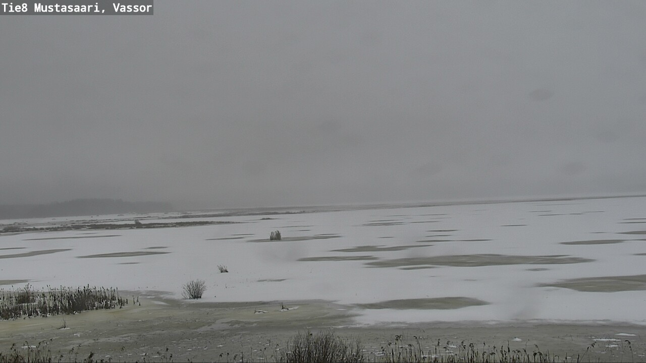 Weather Camera Image Road 8 Mustasaari, Vassor, Mustasaari, Pohjanmaa