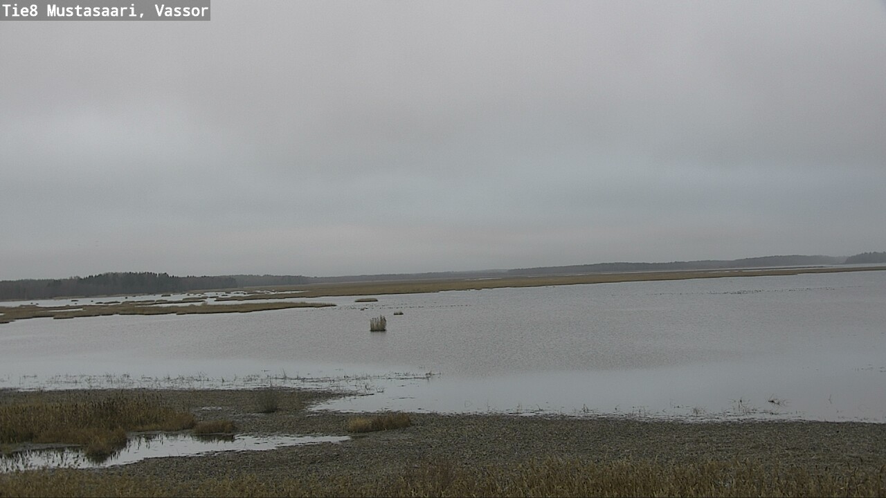 Kelikamerat Kuva Tie 8 Mustasaari, Vassor, Mustasaari, Pohjanmaa