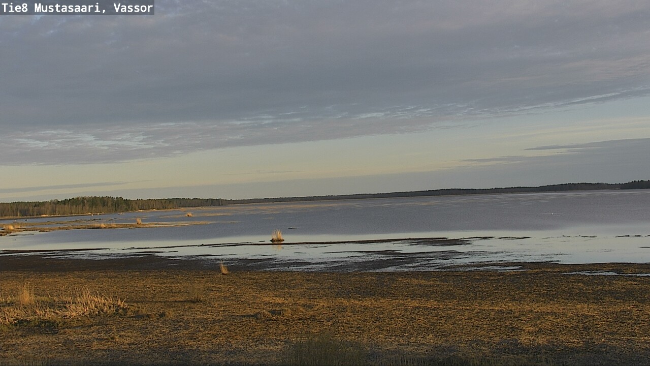 Weather Camera Image Road 8 Mustasaari, Vassor, Mustasaari, Pohjanmaa
