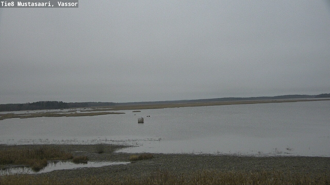 Kelikamerat Kuva Tie 8 Mustasaari, Vassor, Mustasaari, Pohjanmaa