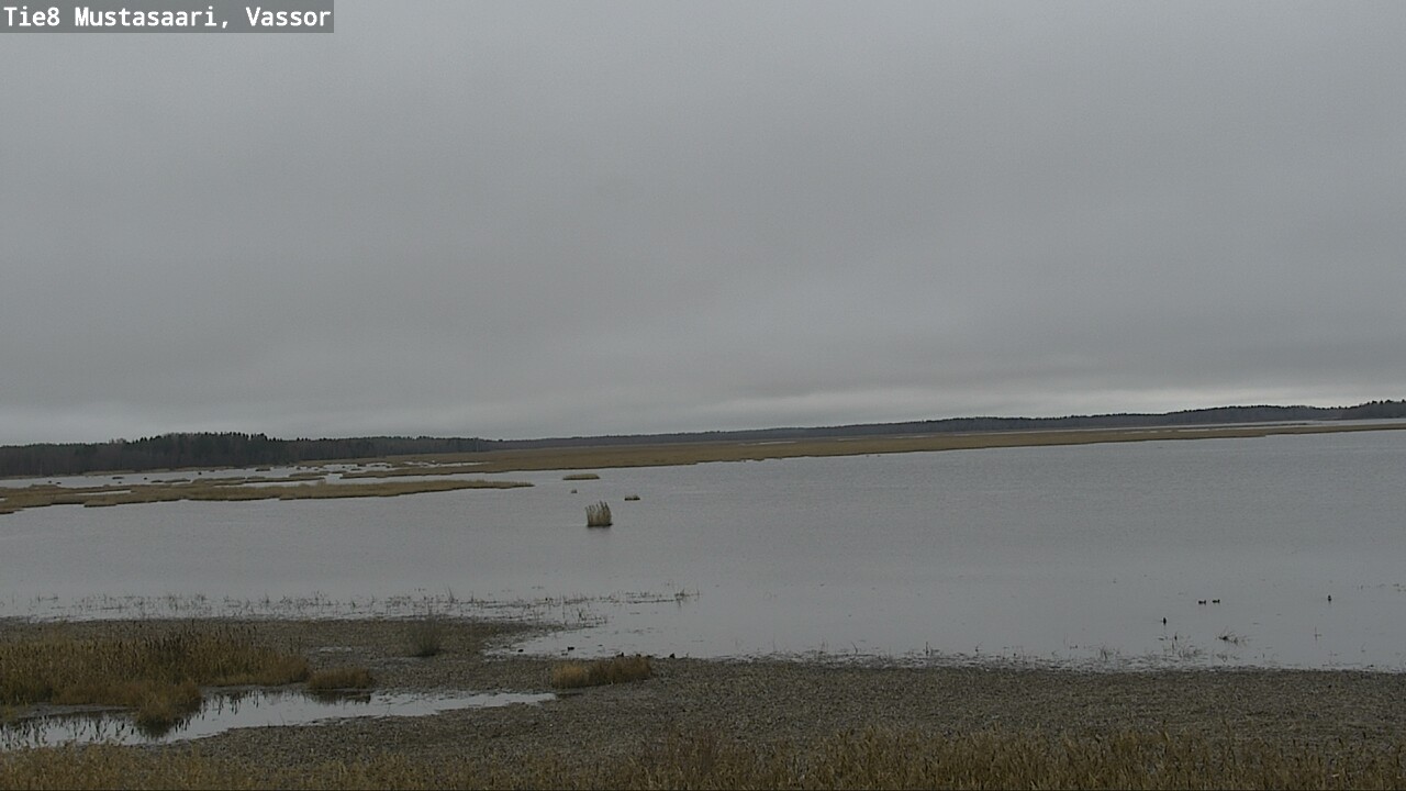 Kelikamerat Kuva Tie 8 Mustasaari, Vassor, Mustasaari, Pohjanmaa