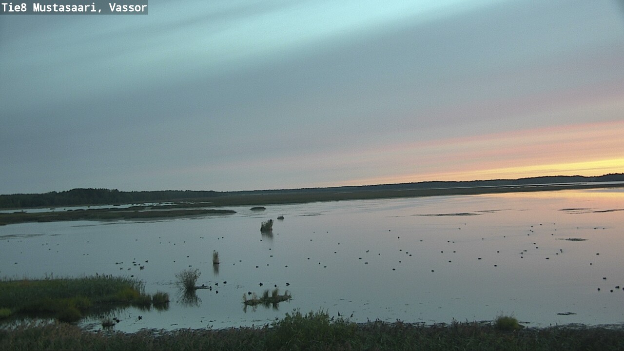 Weather Camera Image Road 8 Mustasaari, Vassor, Mustasaari, Pohjanmaa