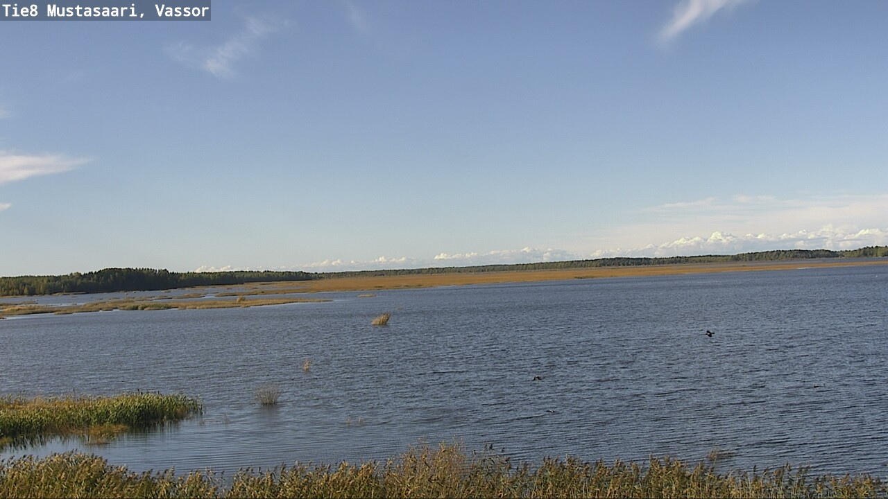 Weather Camera Image Road 8 Mustasaari, Vassor, Mustasaari, Pohjanmaa