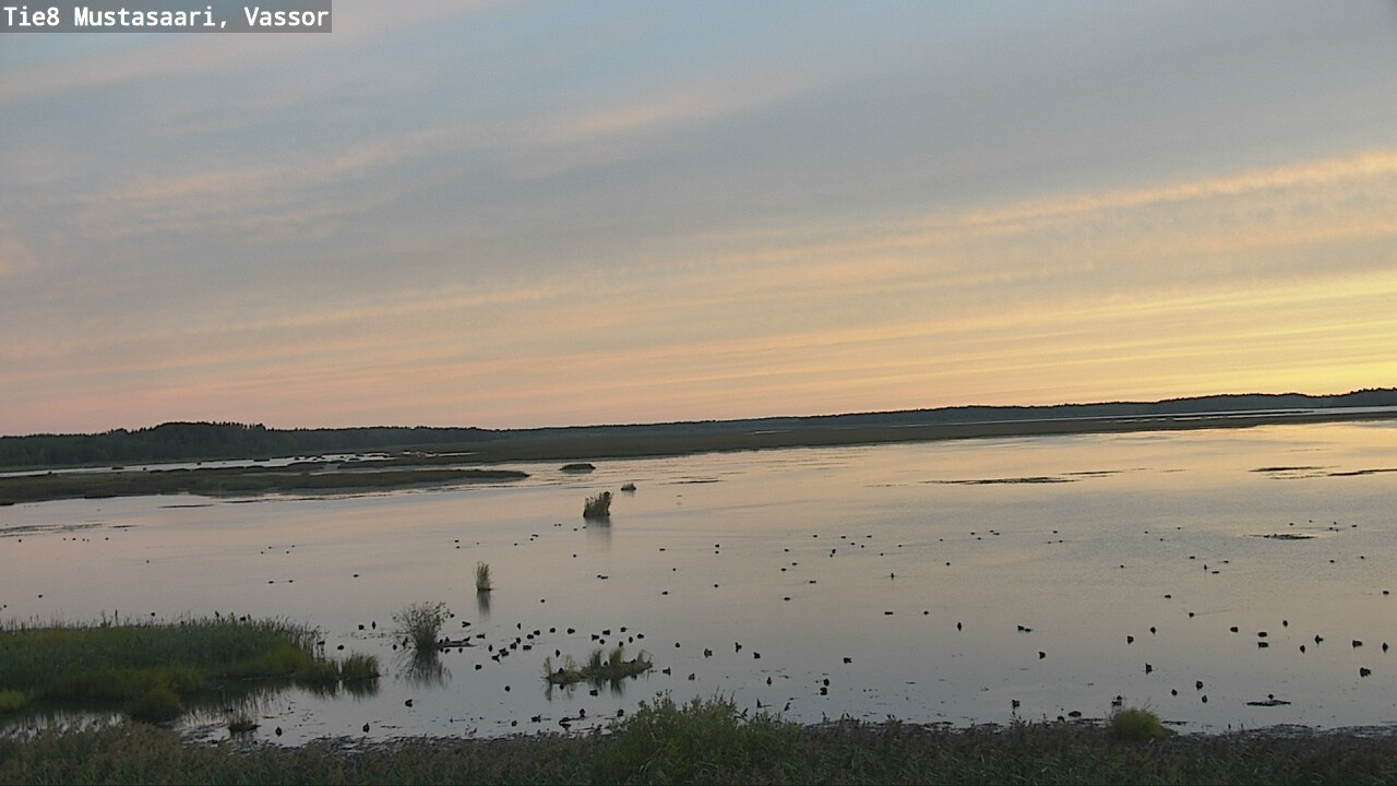 Weather Camera Image Road 8 Mustasaari, Vassor, Mustasaari, Pohjanmaa