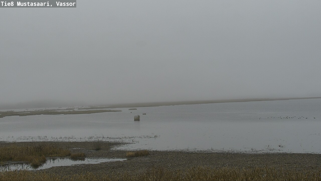 Kelikamerat Kuva Tie 8 Mustasaari, Vassor, Mustasaari, Pohjanmaa