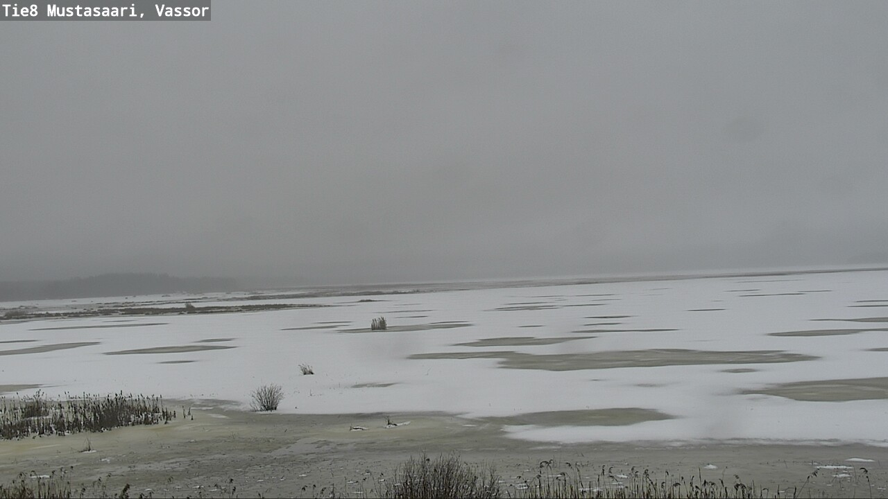 Weather Camera Image Road 8 Mustasaari, Vassor, Mustasaari, Pohjanmaa