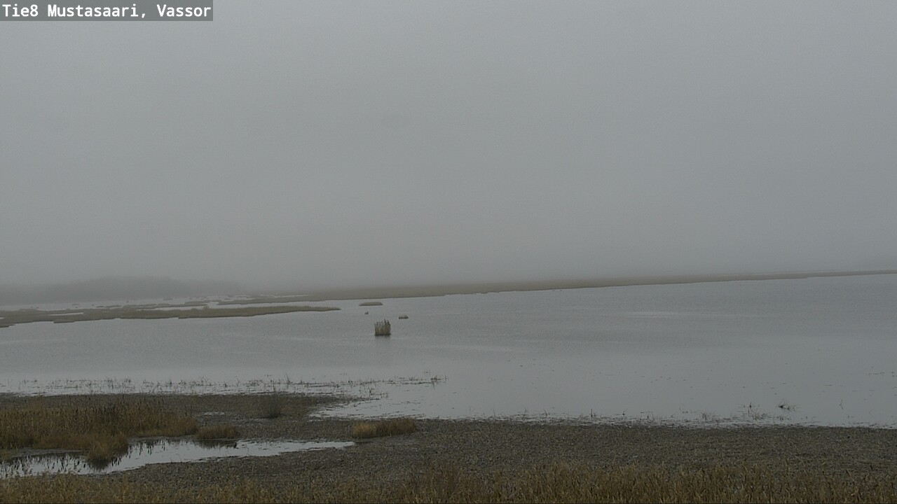 Kelikamerat Kuva Tie 8 Mustasaari, Vassor, Mustasaari, Pohjanmaa