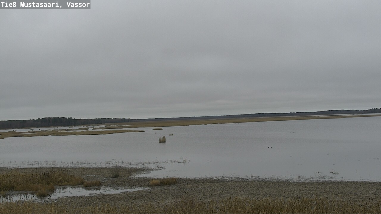 Kelikamerat Kuva Tie 8 Mustasaari, Vassor, Mustasaari, Pohjanmaa