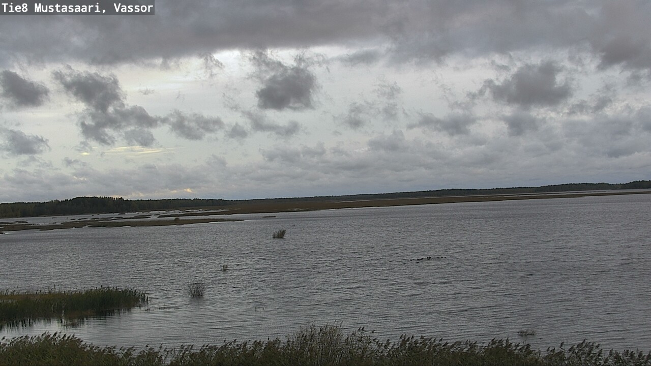 Weather Camera Image Väg 8 Korsholm, Vassor, Mustasaari, Pohjanmaa