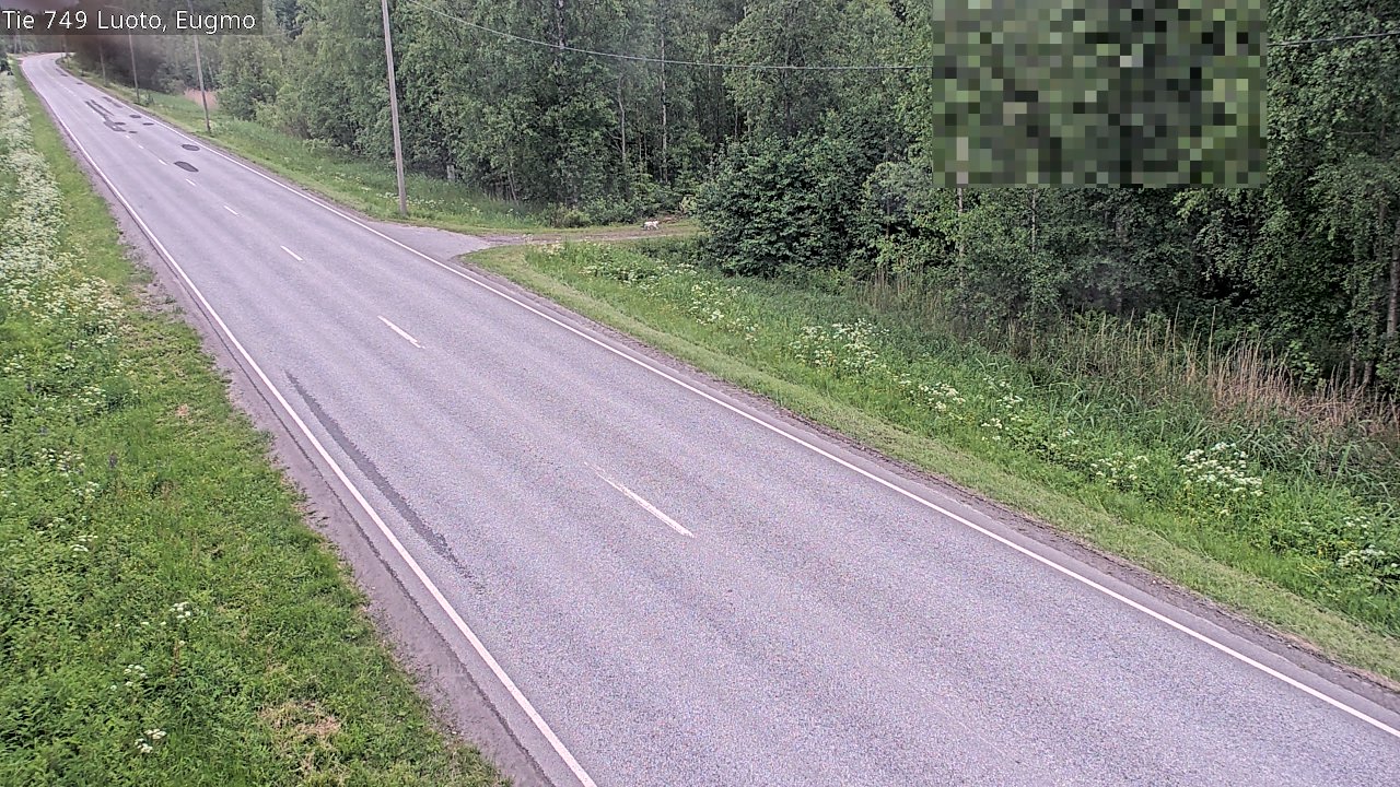 Kelikamerat Kuva Tie 749 Luoto, Eugmo, Luoto, Pohjanmaa