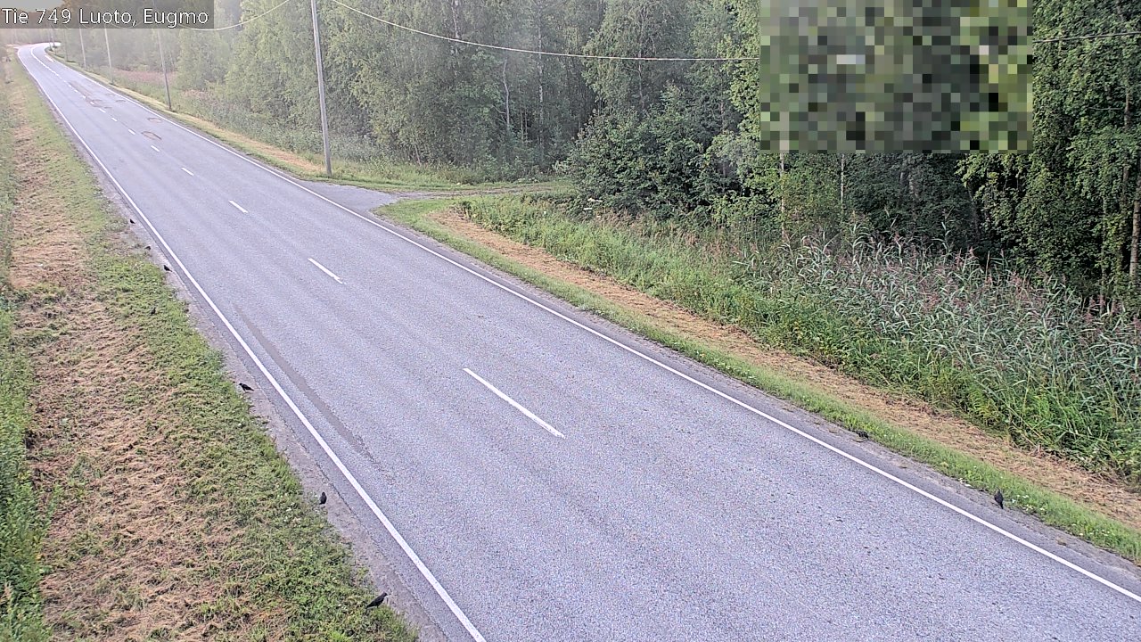 Weather Camera Image Road 749 Luoto, Eugmo, Luoto, Pohjanmaa