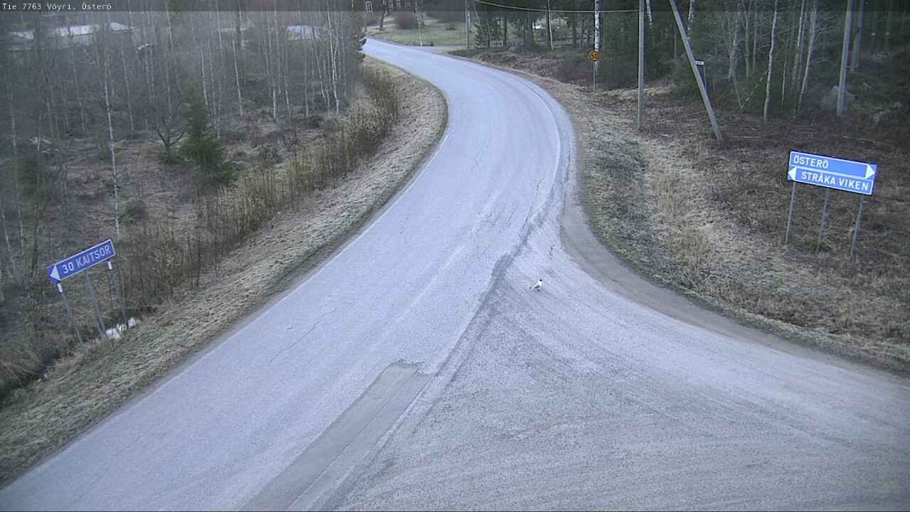 Weather Camera Image Väg 7763 Vöyri, Österö, Vöyri, Pohjanmaa