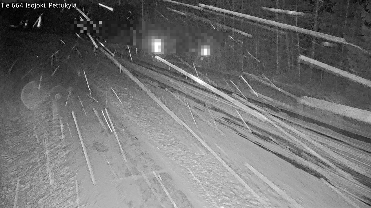 Kelikamerat Kuva st664 Isojoki Pettukylä, Isojoki, Etelä-Pohjanmaa