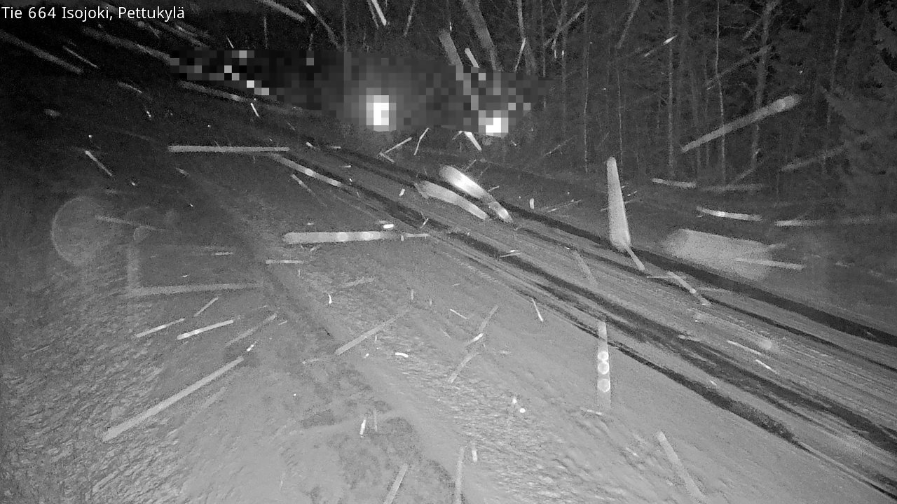 Kelikamerat Kuva st664 Isojoki Pettukylä, Isojoki, Etelä-Pohjanmaa