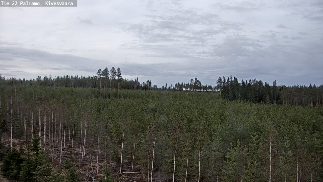 Weather Camera Image Road 22 Paltamo, Kivesvaara, Paltamo, Kainuu