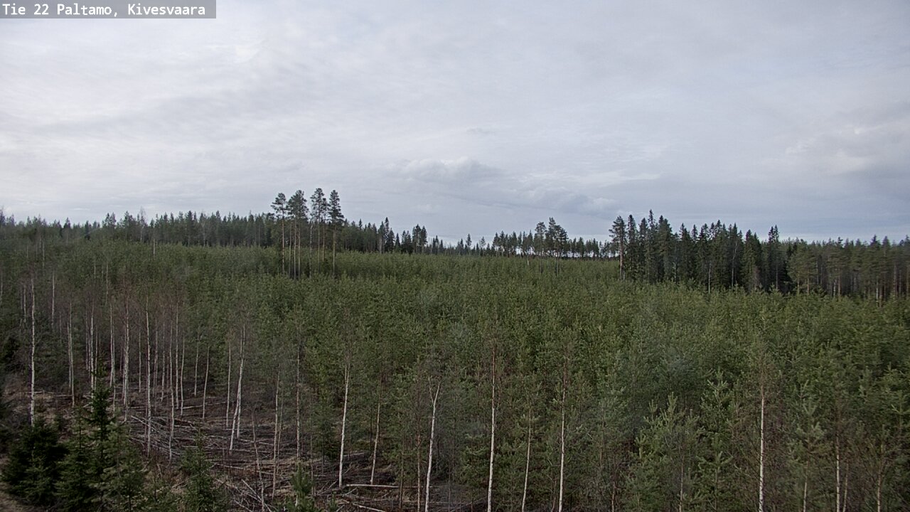 Weather Camera Image Road 22 Paltamo, Kivesvaara, Paltamo, Kainuu