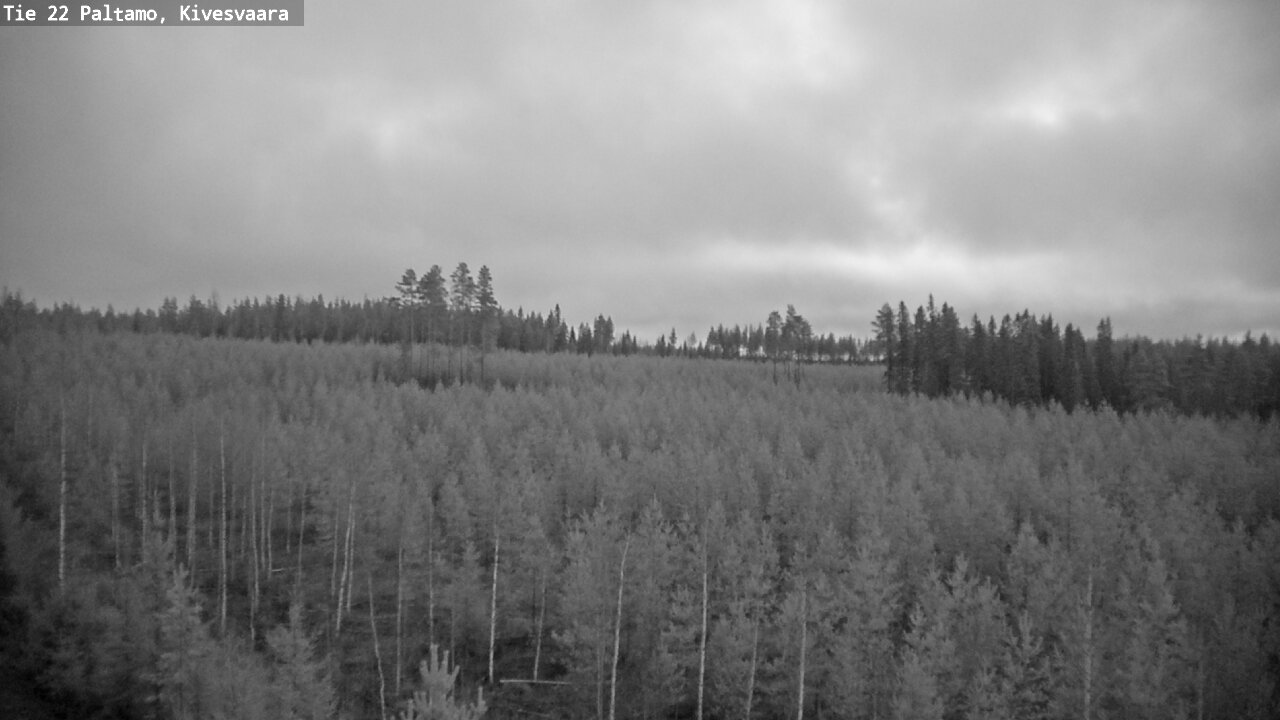 Kelikamerat Kuva Tie 22 Paltamo, Kivesvaara, Paltamo, Kainuu