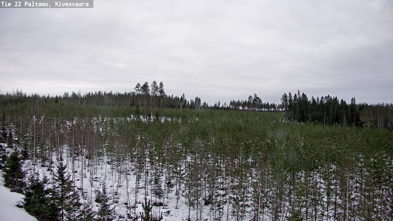 Kelikamerat Kuva Tie 22 Paltamo, Kivesvaara, Paltamo, Kainuu