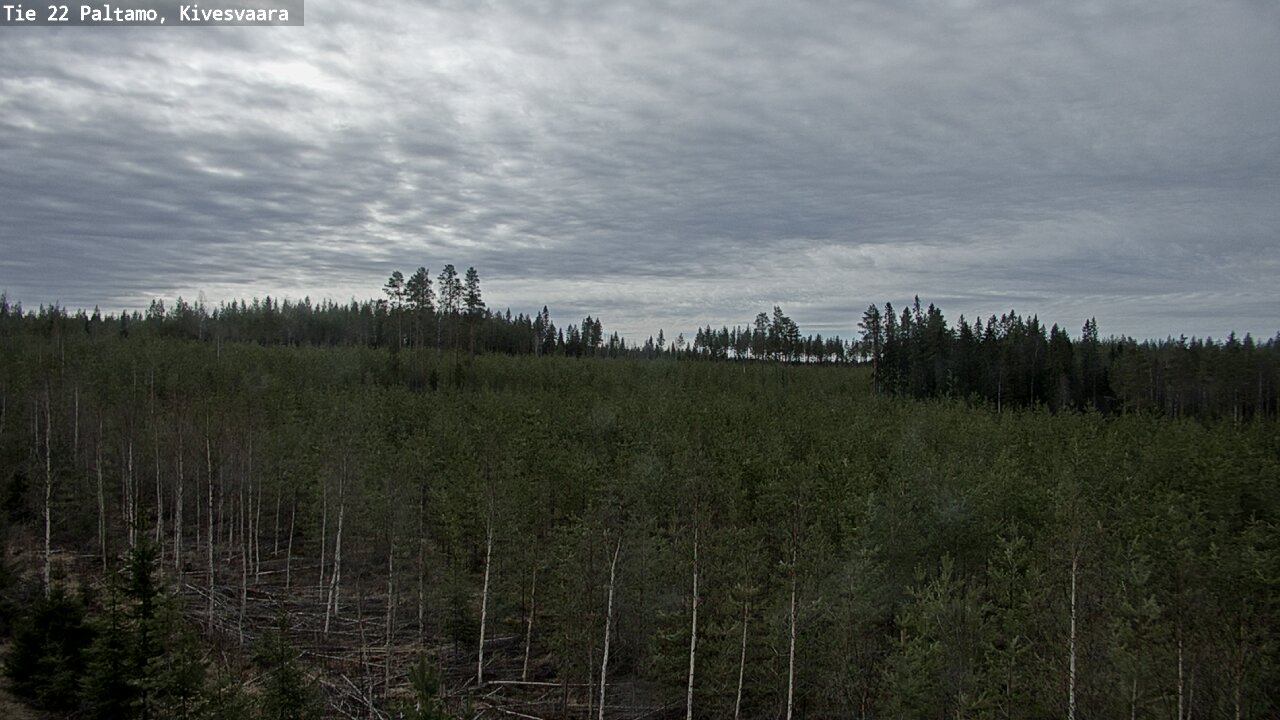 Weather Camera Image Väg 22 Paltamo, Kivesvaara, Paltamo, Kainuu