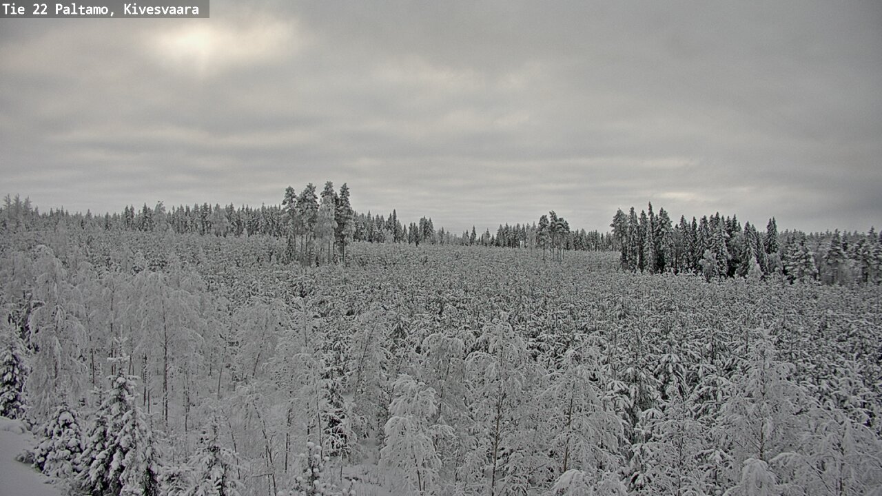 Kelikamerat Kuva Tie 22 Paltamo, Kivesvaara, Paltamo, Kainuu