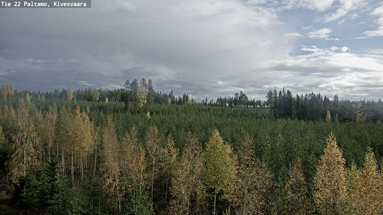 Kelikamerat Kuva Tie 22 Paltamo, Kivesvaara, Paltamo, Kainuu
