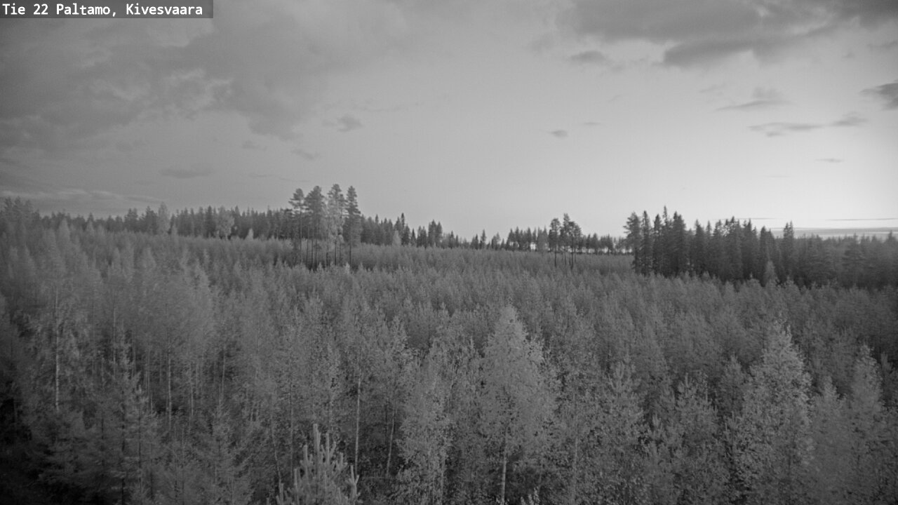 Kelikamerat Kuva Tie 22 Paltamo, Kivesvaara, Paltamo, Kainuu