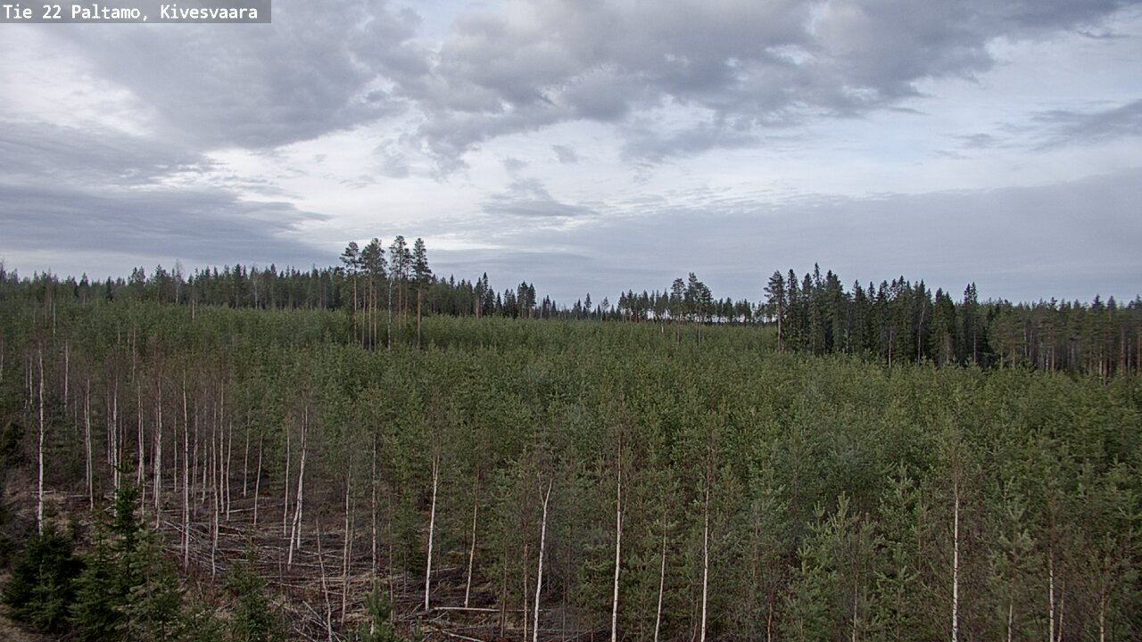 Weather Camera Image Road 22 Paltamo, Kivesvaara, Paltamo, Kainuu