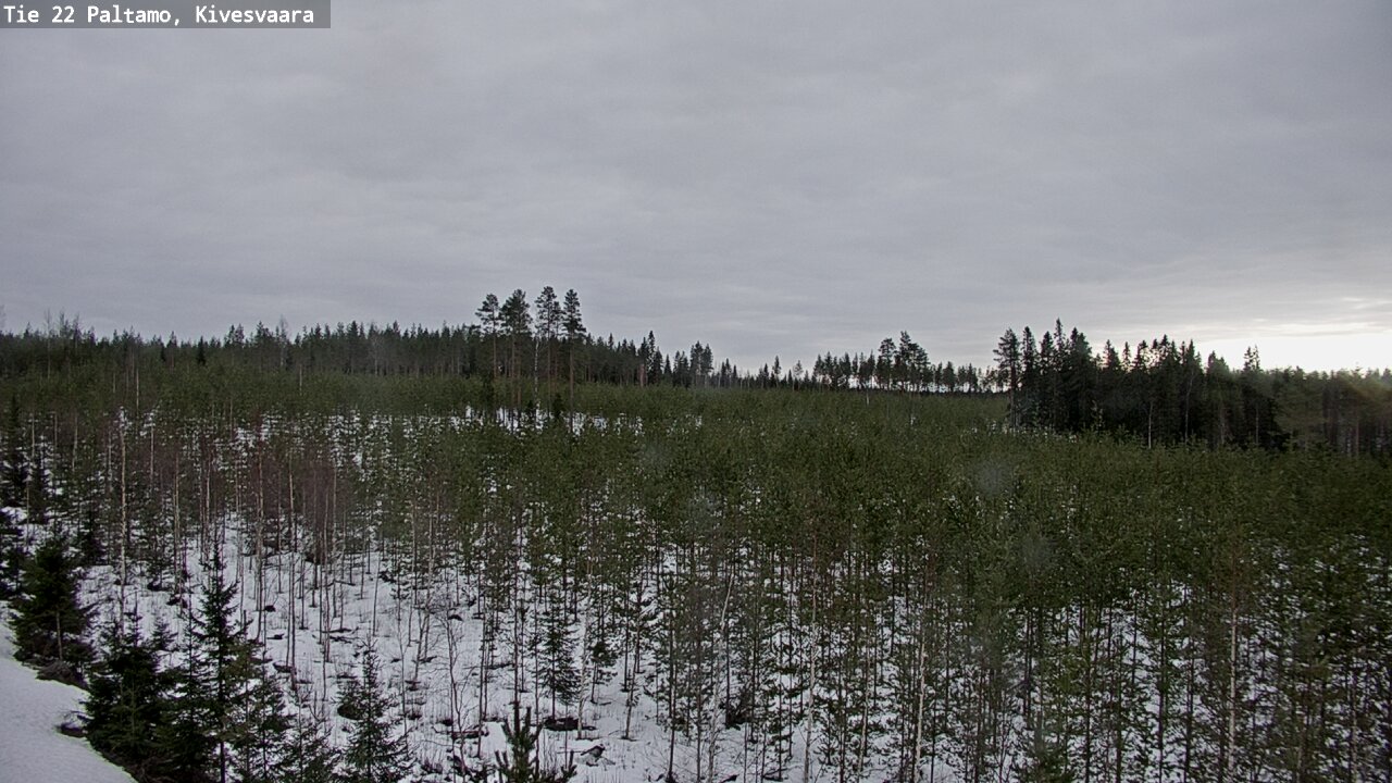 Weather Camera Image Road 22 Paltamo, Kivesvaara, Paltamo, Kainuu