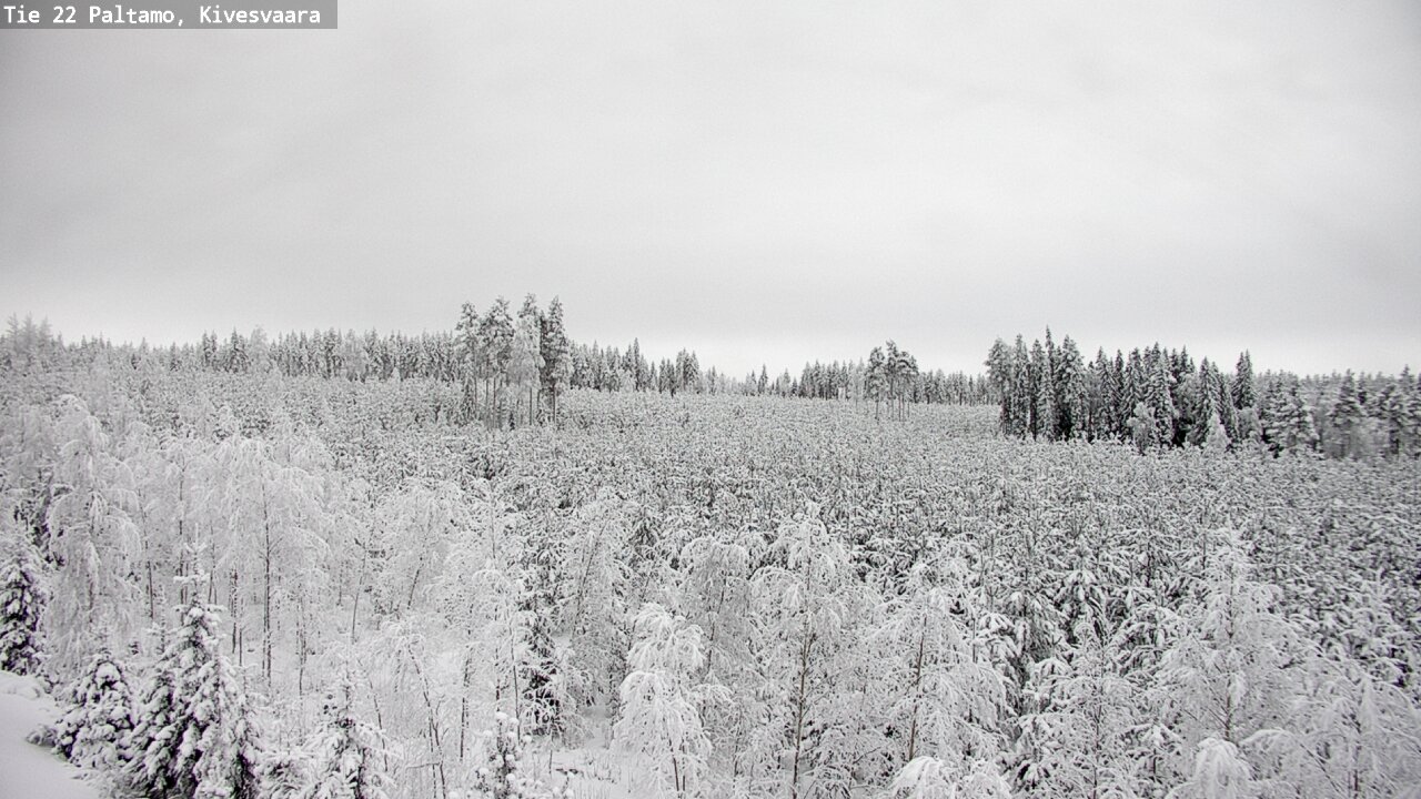 Weather Camera Image Väg 22 Paltamo, Kivesvaara, Paltamo, Kainuu