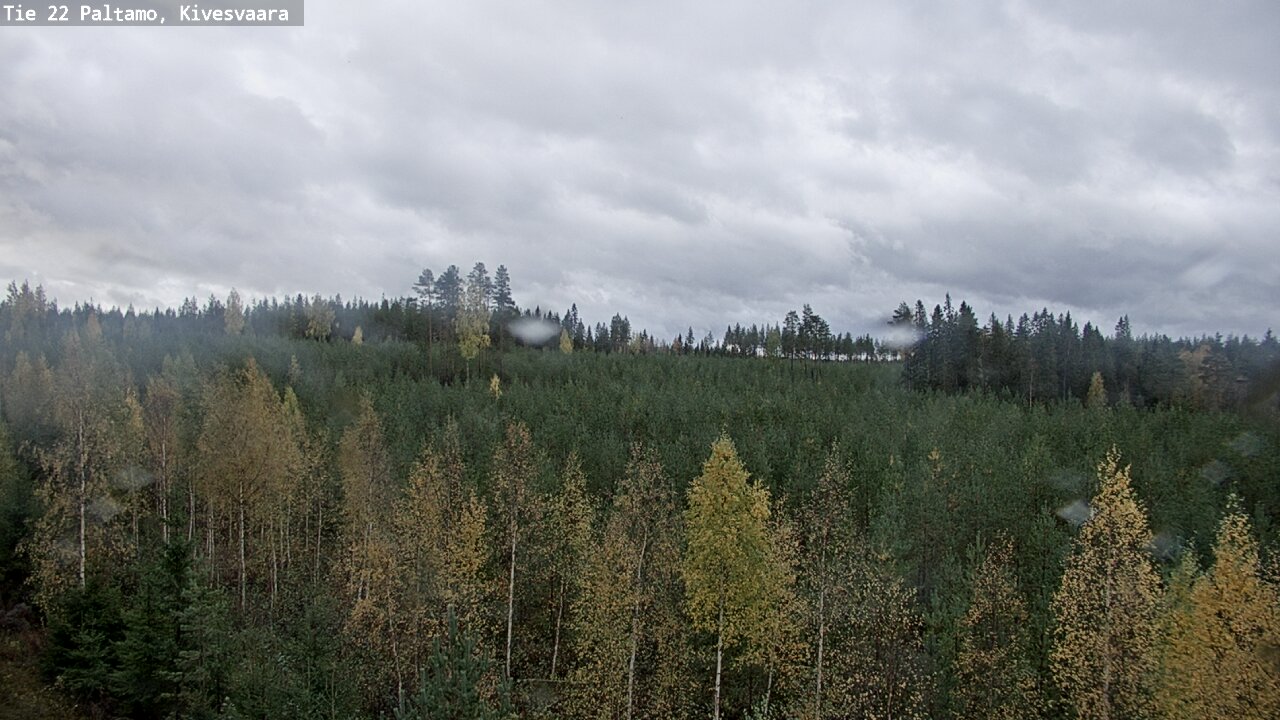 Weather Camera Image Road 22 Paltamo, Kivesvaara, Paltamo, Kainuu