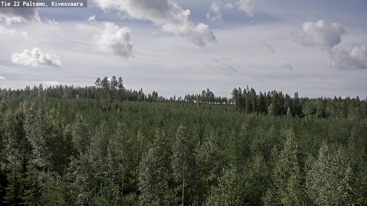 Weather Camera Image Road 22 Paltamo, Kivesvaara, Paltamo, Kainuu