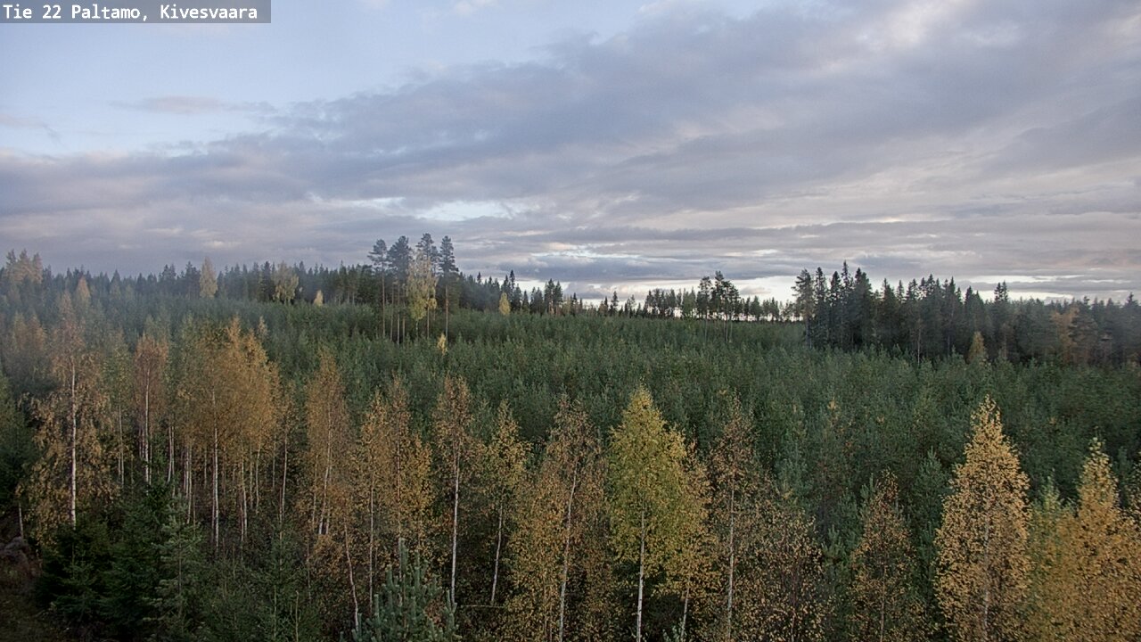 Kelikamerat Kuva Tie 22 Paltamo, Kivesvaara, Paltamo, Kainuu