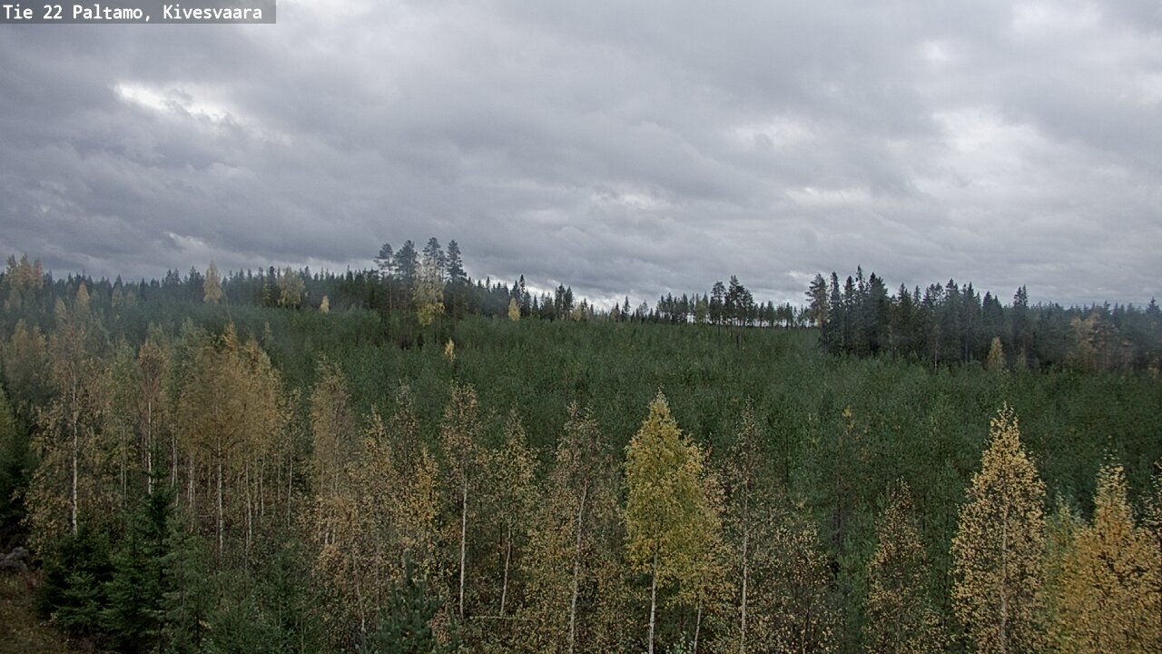 Weather Camera Image Road 22 Paltamo, Kivesvaara, Paltamo, Kainuu
