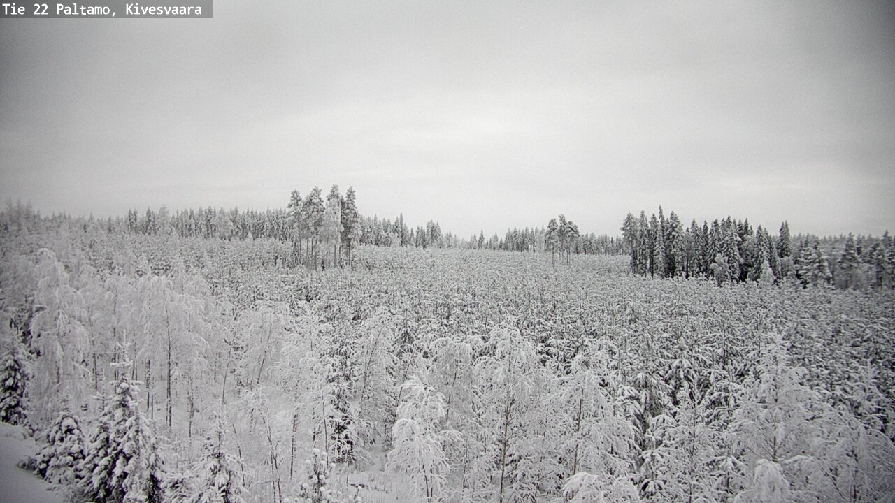 Kelikamerat Kuva Tie 22 Paltamo, Kivesvaara, Paltamo, Kainuu