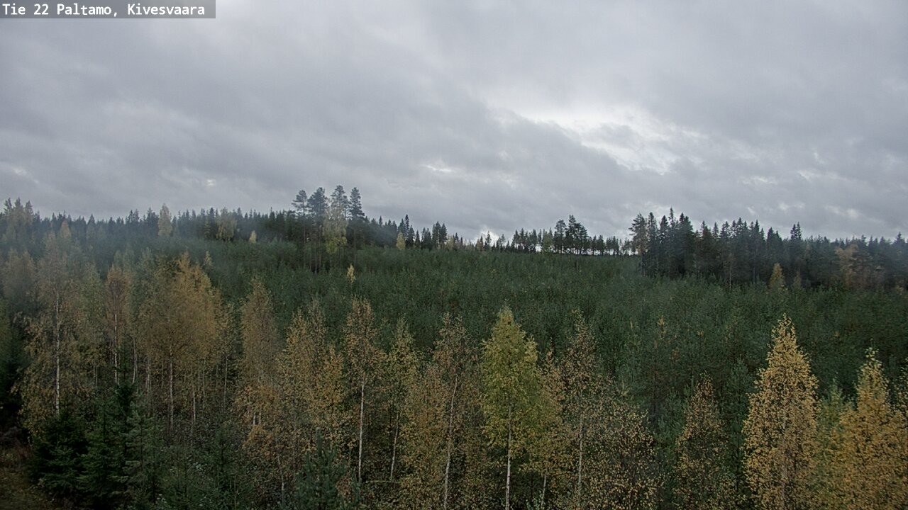 Kelikamerat Kuva Tie 22 Paltamo, Kivesvaara, Paltamo, Kainuu